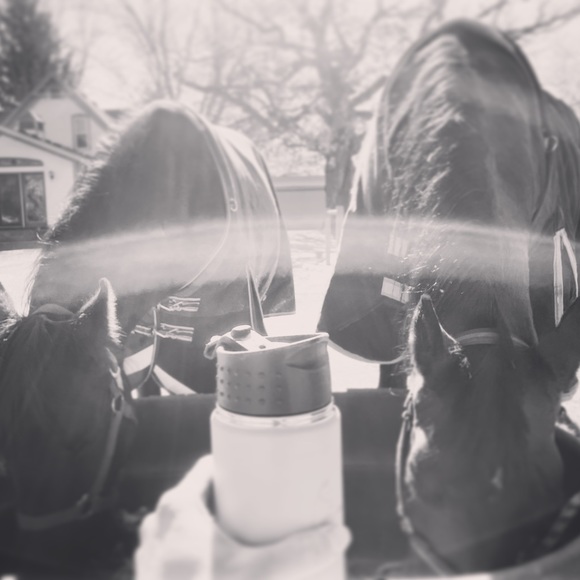 🐎Unlisted🐾 items - Picture 4 of 5